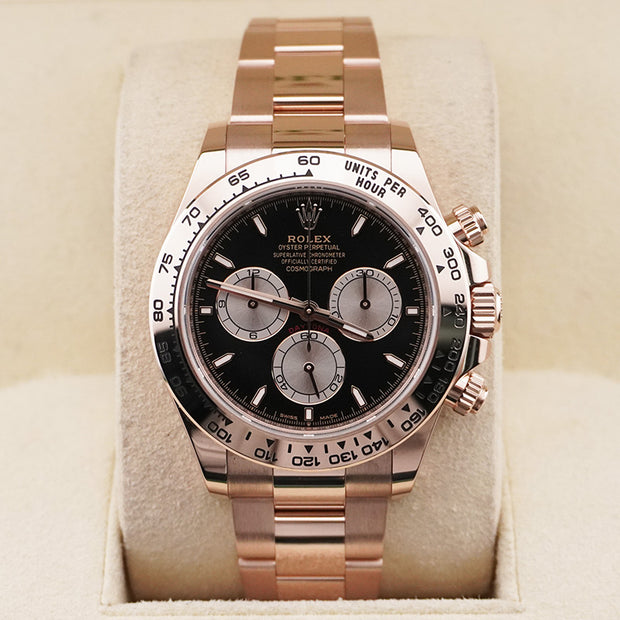 Rolex Daytona Everose Gold Black And Sundust Dial 126505