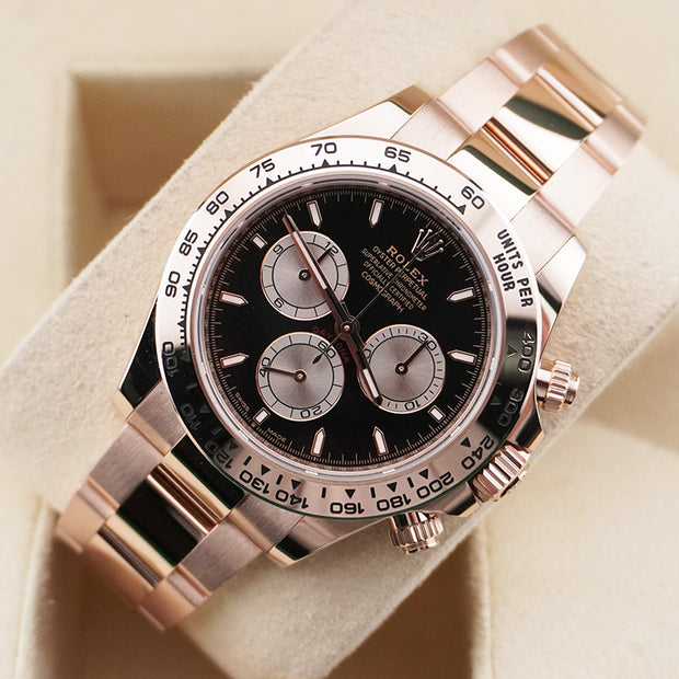 Rolex Daytona Everose Gold Black And Sundust Dial 126505