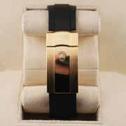 Rolex Sky-Dweller 336238 Yellow Gold Champagne Dial Oyster-Flex