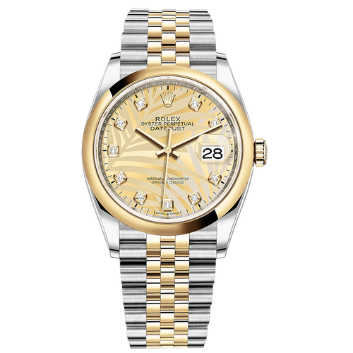 Rolex Datejust Golden Palm Motif Diamond Dial Domed Bezel 36mm 126203